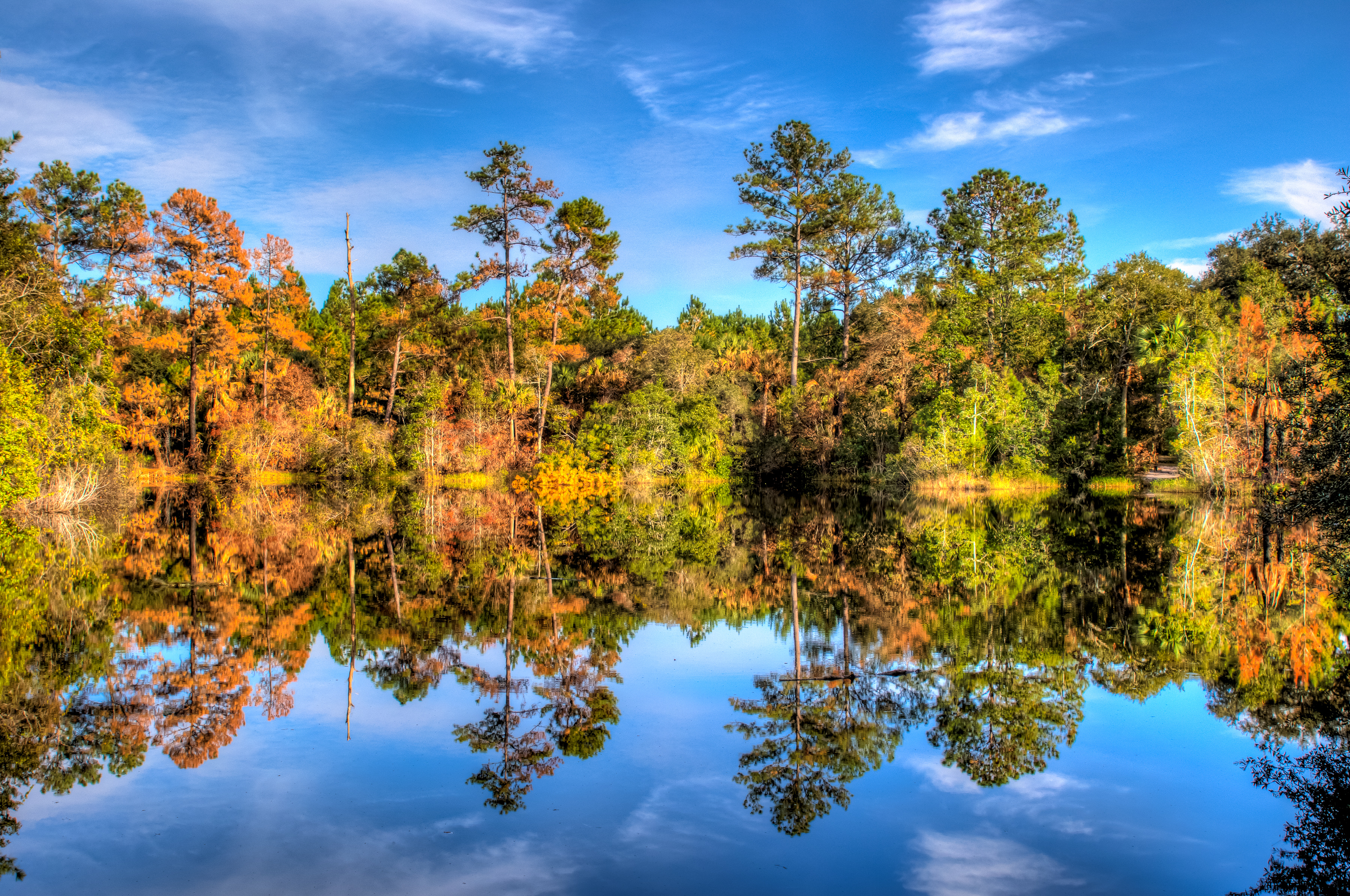 Florida Fall Scene - Image Credit: Flickr/Rain0975