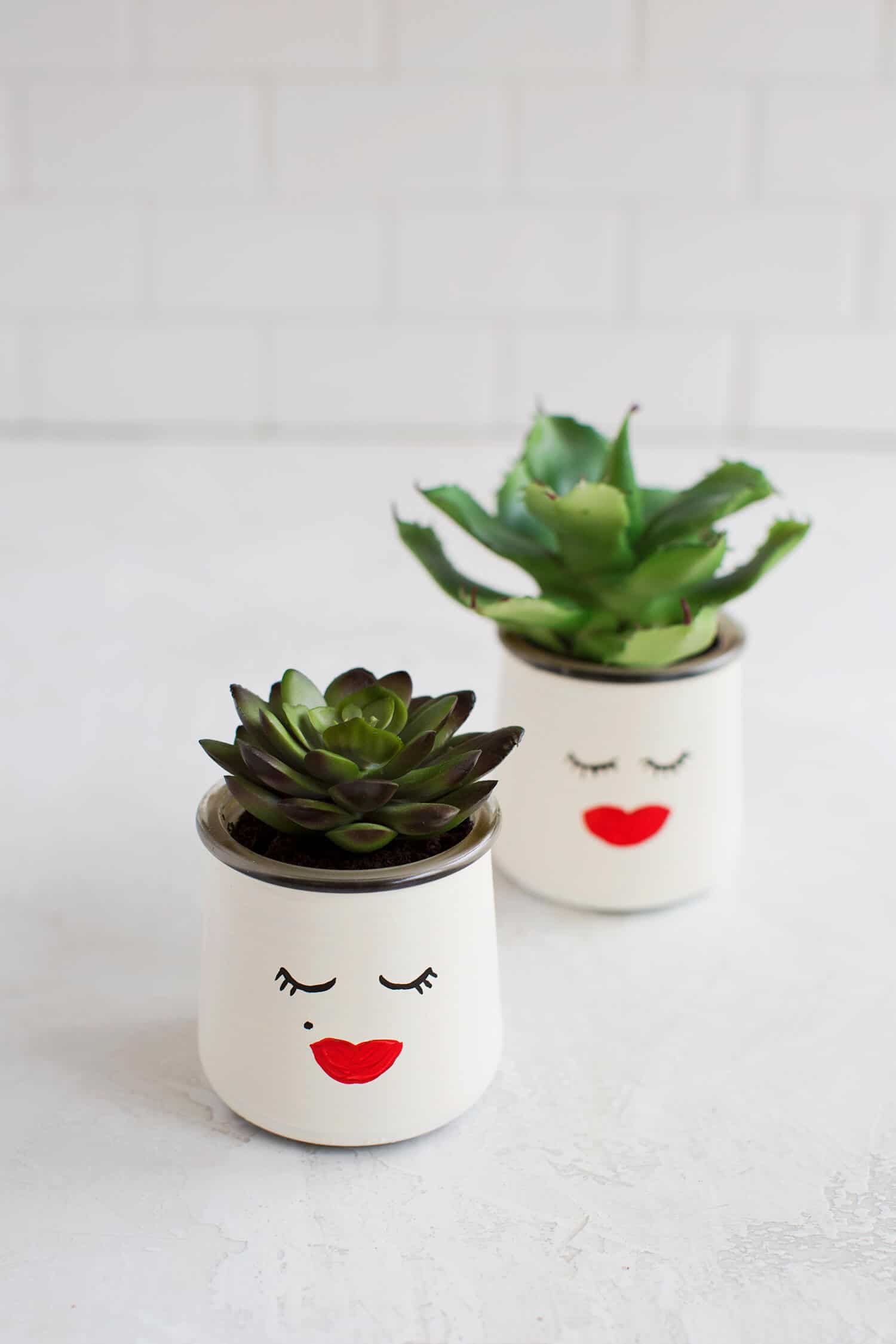 Two planters with faces painted onto them