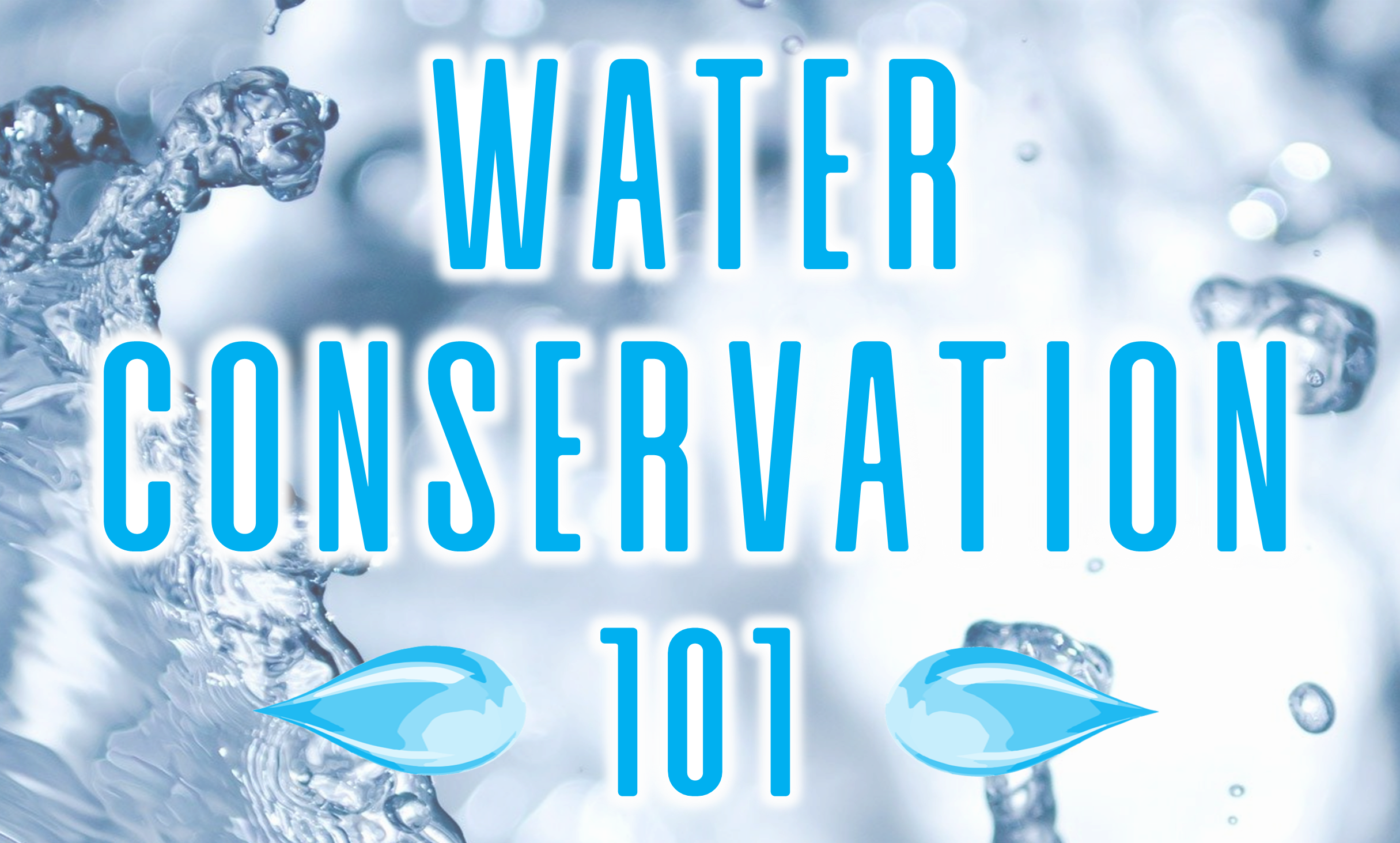 Water Conservation 101