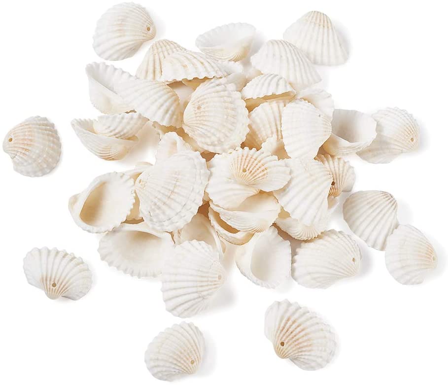 Clam shells with holes in the top