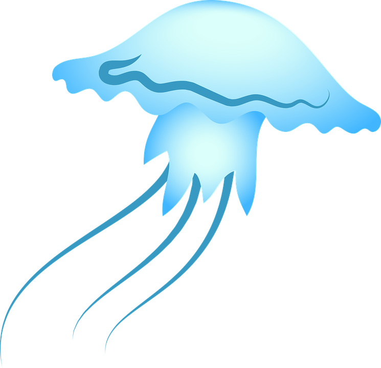 Illustration of a blue jellyfish 