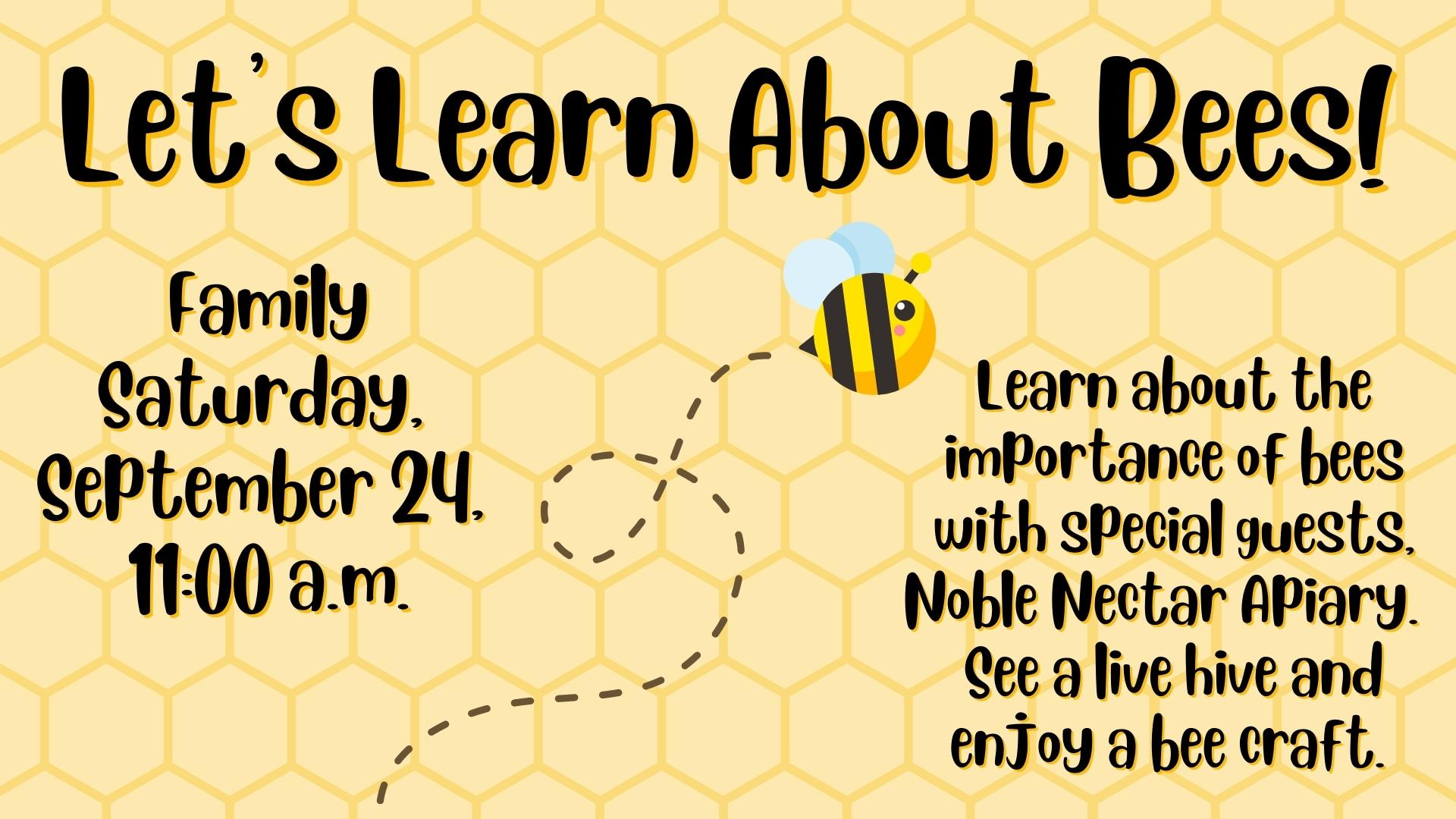 Let's Learn About Bees 