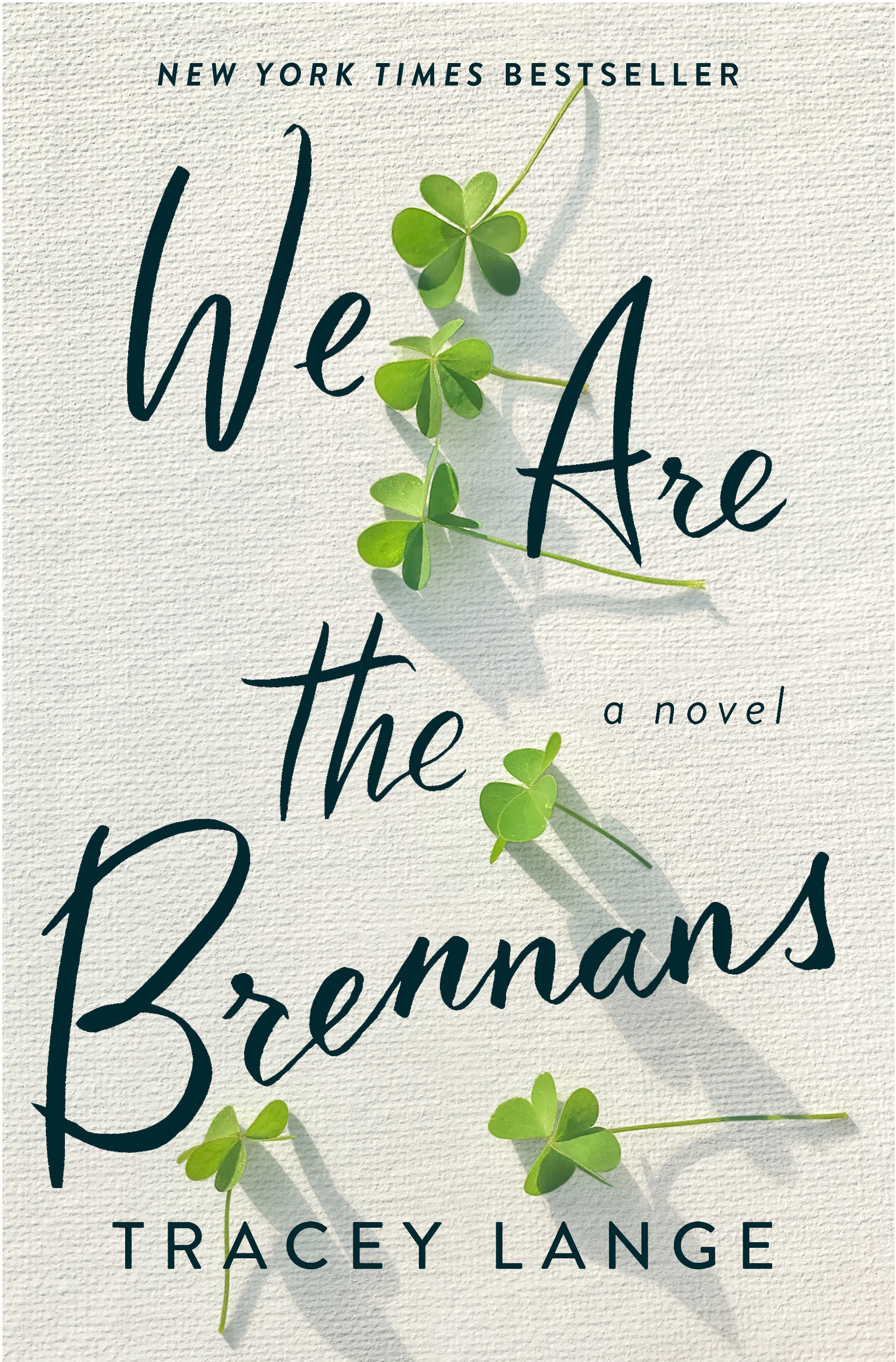 Cover of We Are the Brennans by Tracey Lange