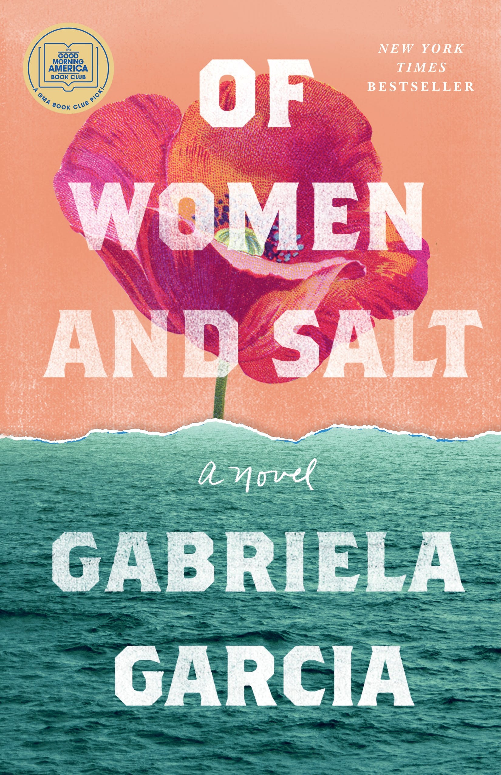 Cover of Of Women and Salt by Gabriela Garcia
