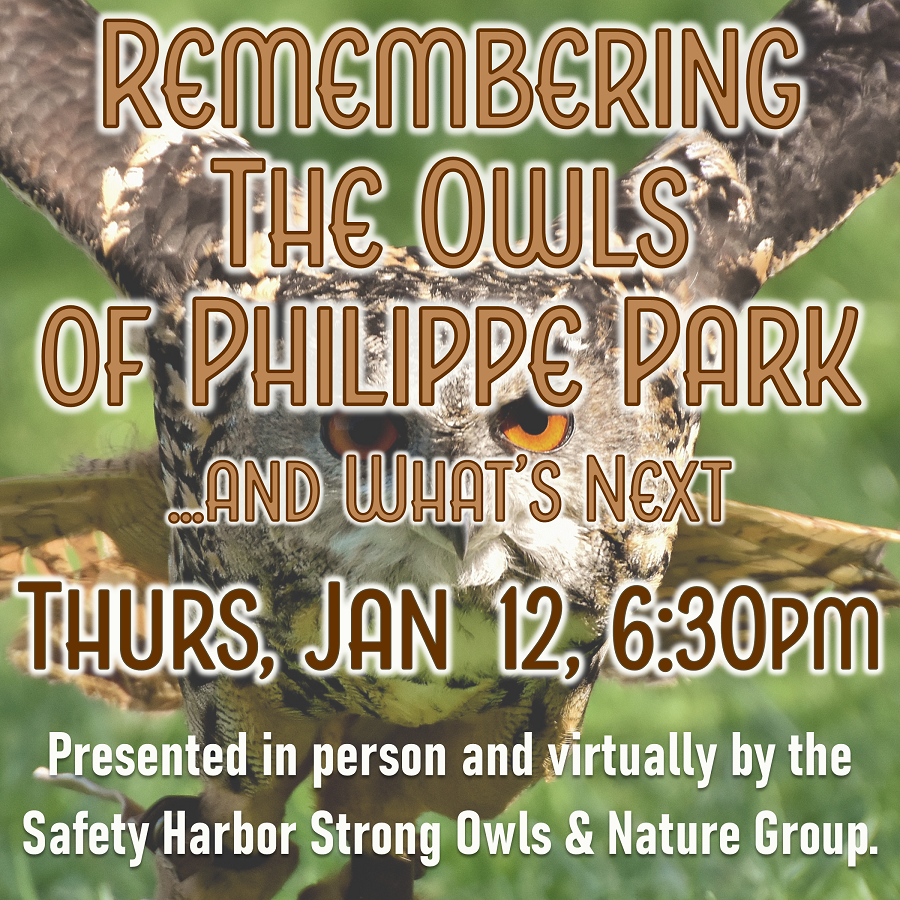 Remembering the Owls of Philippe Park…And What’s Next
