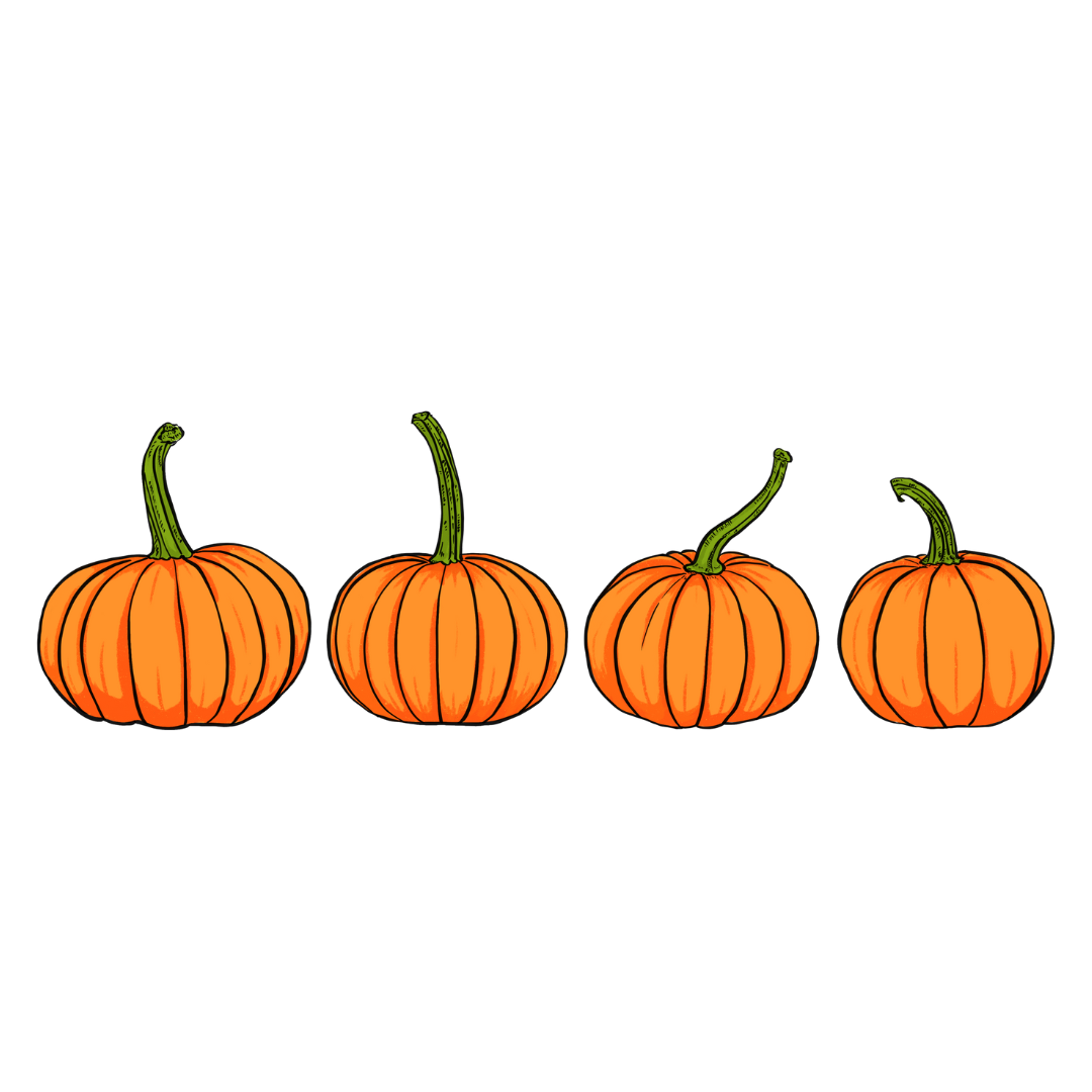 Four mini pumpkins in a row