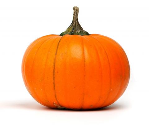 CrAfterWork: Ceramic Pumpkin Bowl | Safety Harbor Public ...