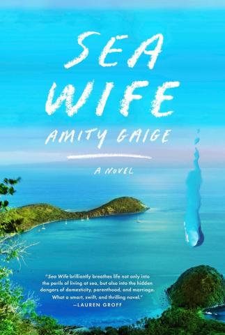 Cover of Sea Wife by Amity Gaige
