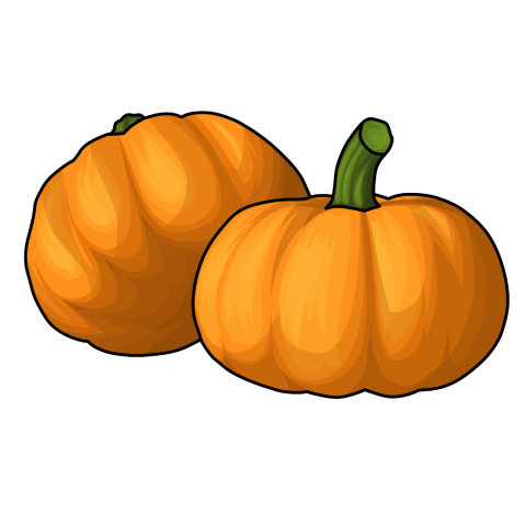 Two orange mini pumpkins