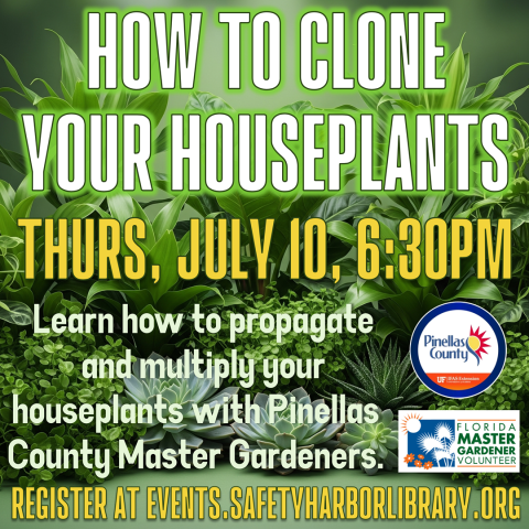 How to Clone Your Houseplants