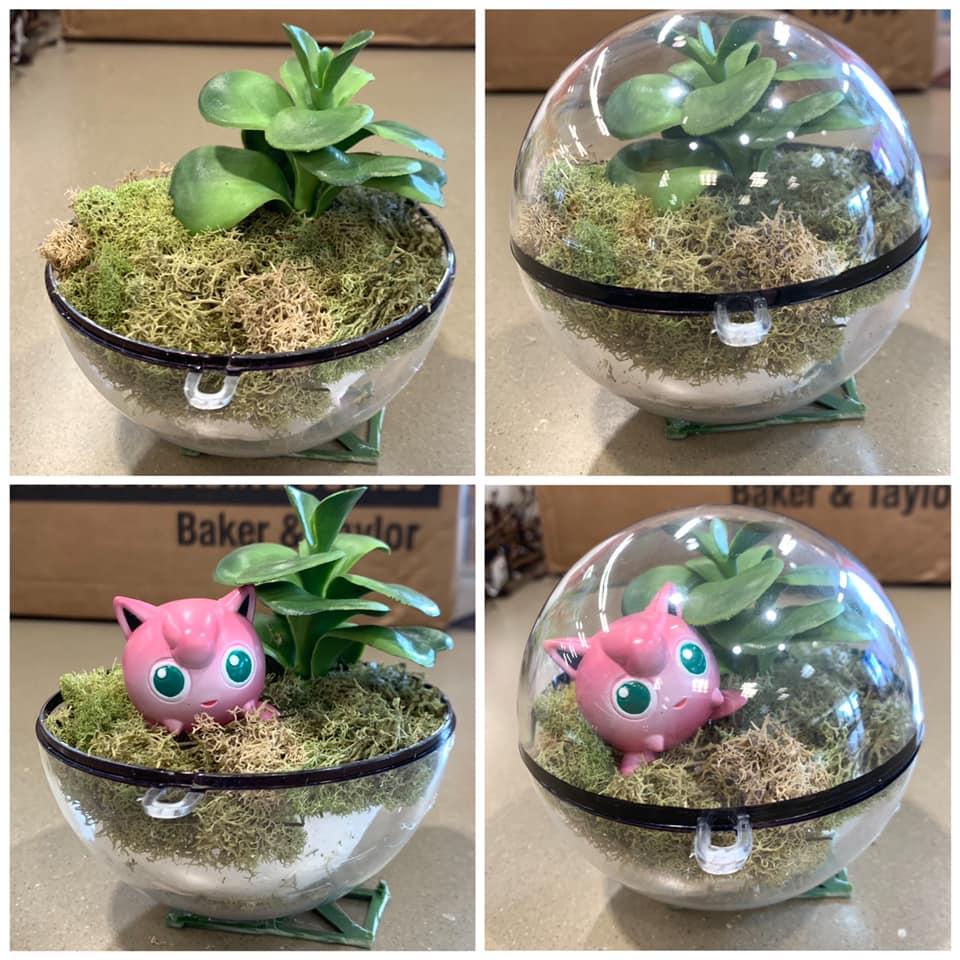 Pokemon Terrarium