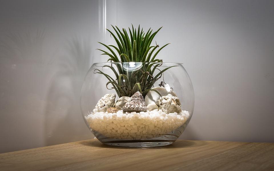 beach terrarium