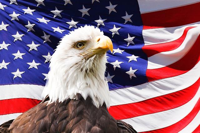 USA Flag and Bald Eagle