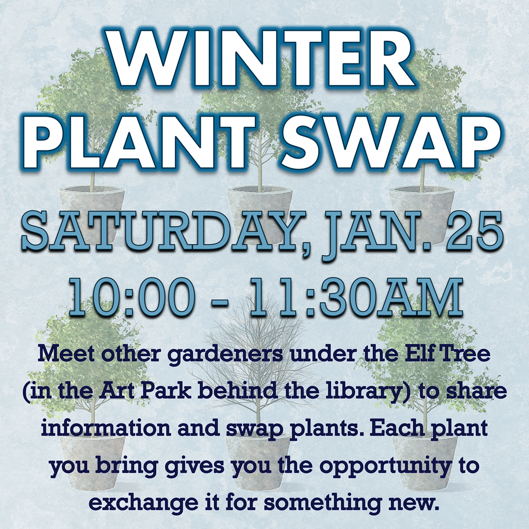 Winter Plant Swap - Saturday, January 25, 10-11:30am