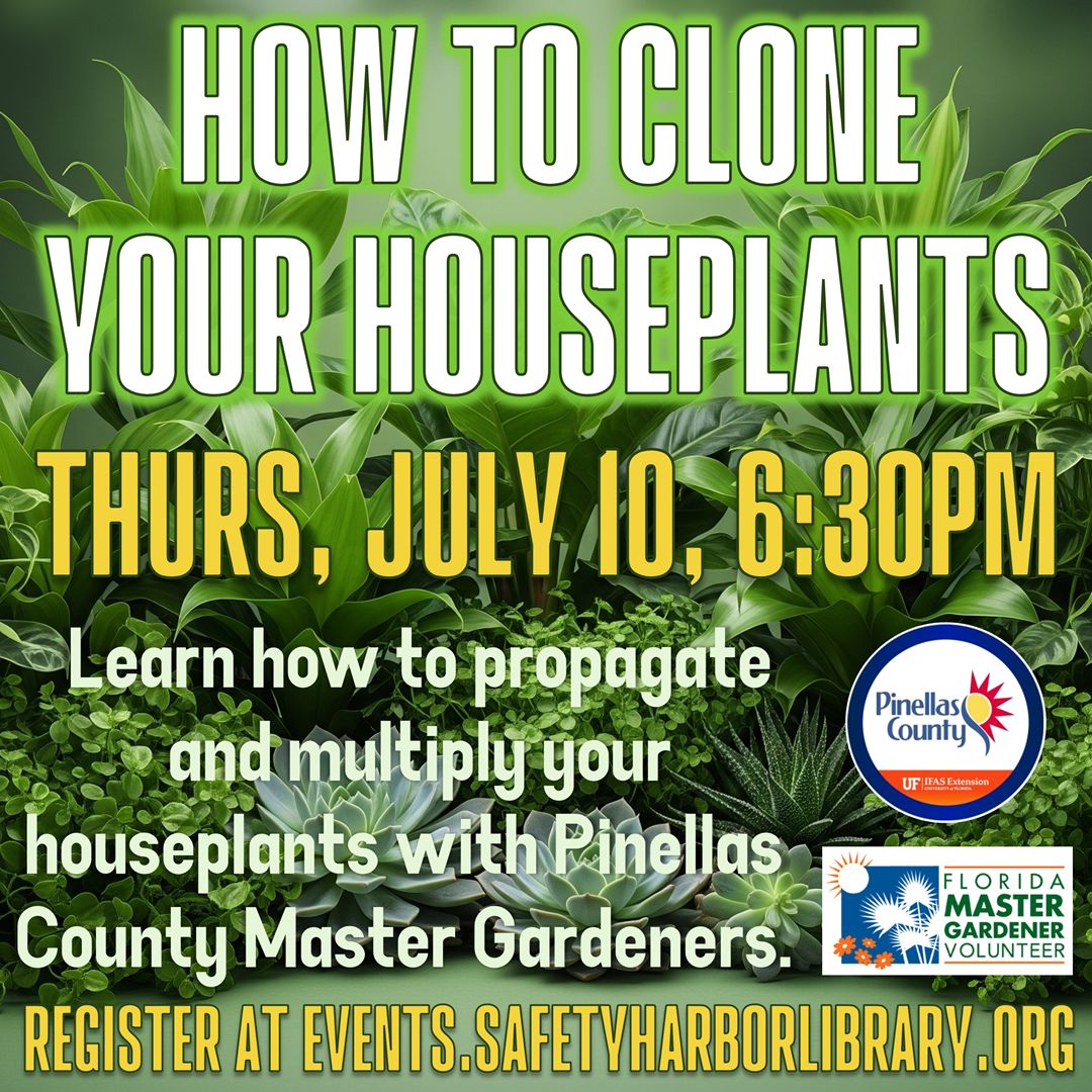 How to Clone Your Houseplants
